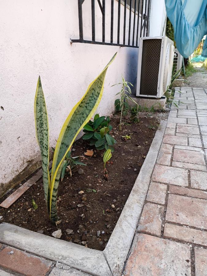 Hostal a 10 min del centro de Veracruz Exterior foto